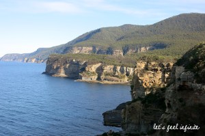 Cliff seen on the Waterfall Bay walk, Tasman Peninsula, Tasmania